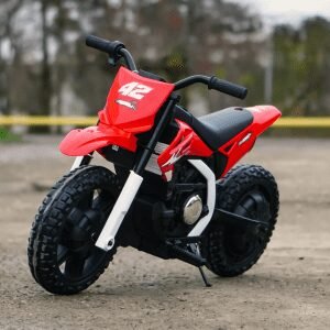 Детско Електрическо Баланс Колело, 24V/9Ah, 350W, EVA гуми, MP3
